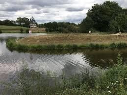 Maine-et-Loire : Le génie végétal pour renforcer un canal