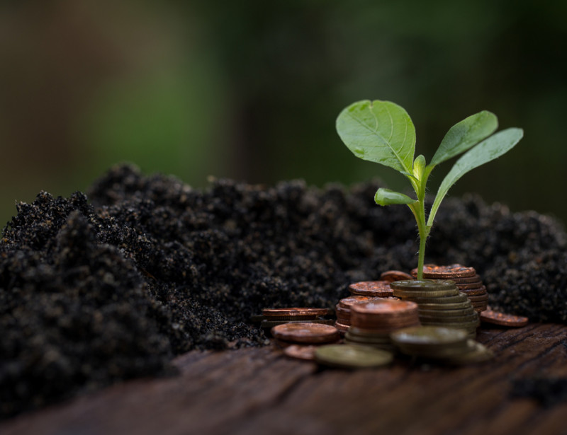 Finance durable : une plateforme pour sensibiliser les épargnants et investisseurs