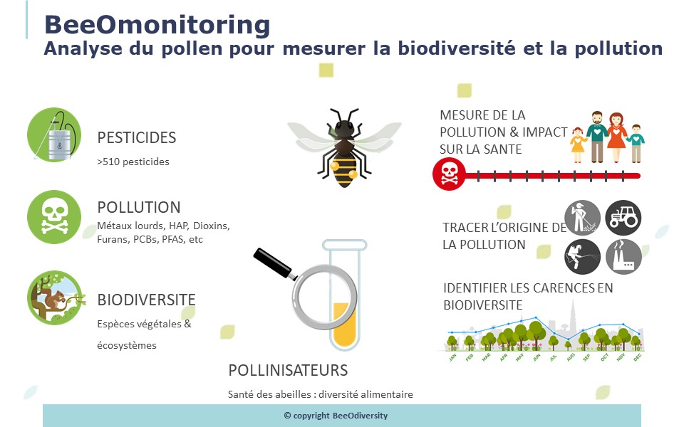 Conférence : Solution innovante permettant de mesurer la qualité de l’environnement d’un site/territoire (biodiversité, pollution) grâce aux abeilles