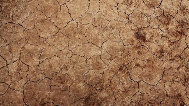 Face à la sécheresse, le gouvernement réclame de l’anticipation