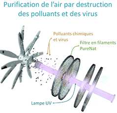 Purification de l'air par destruction des polluants et des virus﻿ - PureNat