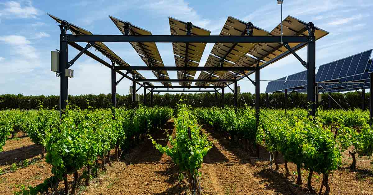 Sun'Agri et Rgreen Invest lance une initiative pour équiper 300 exploitations agricoles