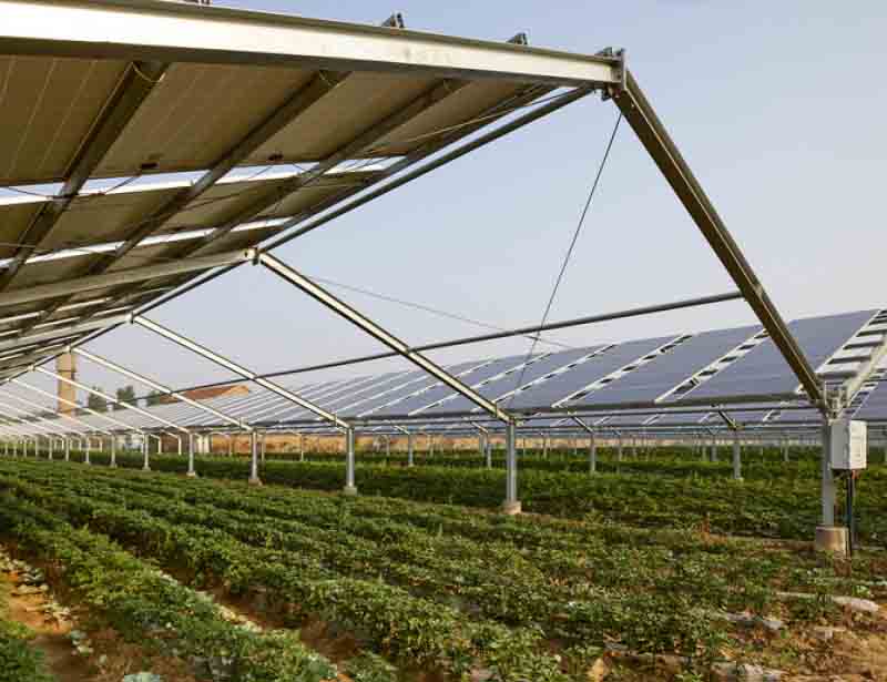 L’agrivoltaïsme, pour concilier rendements agricoles et énergies renouvelables