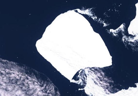 Le plus grand iceberg du monde s'est mis en mouvement dans les eaux de l'Antarctique