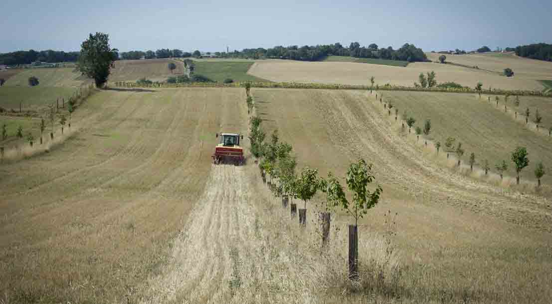 Plan de relance : 10 millions d’euros pour les entreprises de la transition agroécologique