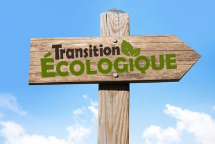 Transition écologique : donner aux acteurs publics les moyens d’agir