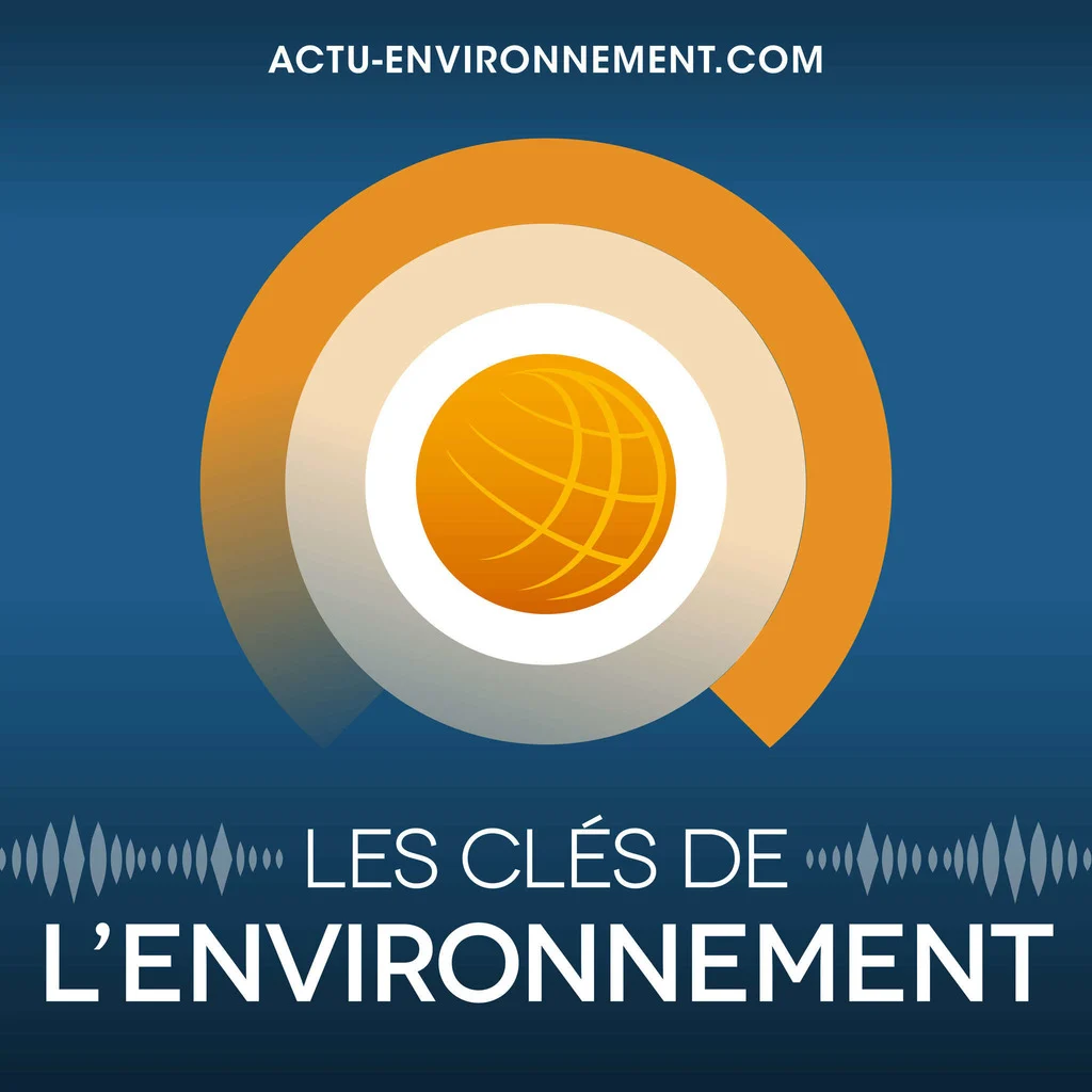 Salon Douai : Sel de déneigement : quels sont les dangers pour  l'environnement ?