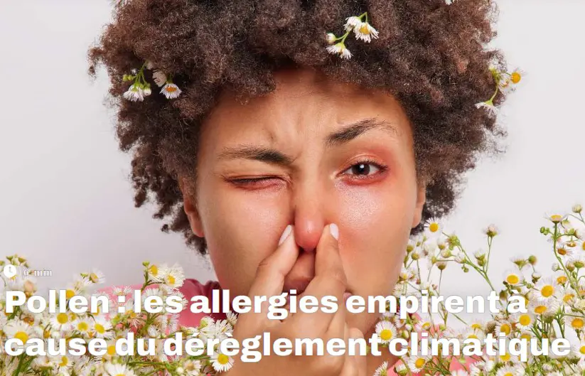 Pollen : les allergies empirent à cause du dérèglement climatique