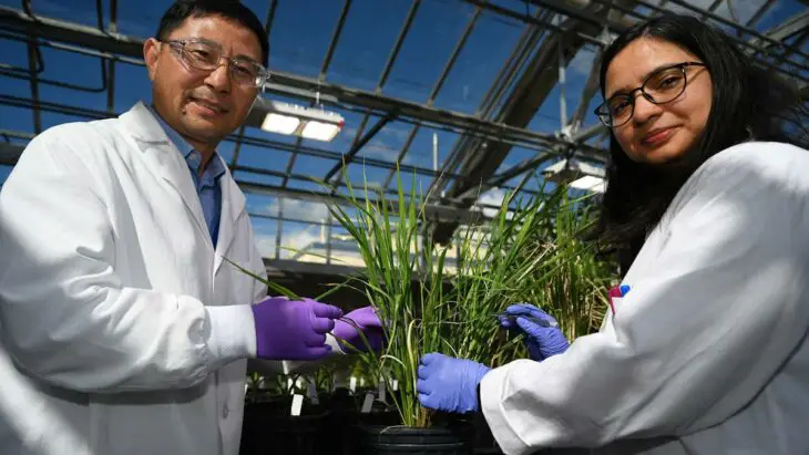 Des enzymes qui défient la nature pour une meilleure production de biocarburants
