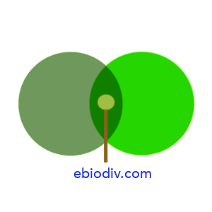 Logo : Entreprise & Biodiversité