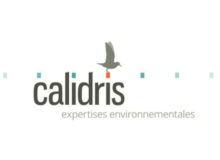 Logo : CALIDRIS